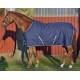 Cobrejão Turnout rug -Eco Light- with fleece lining