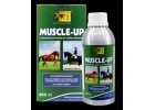 Muscle Up - Potencia o Desenvolvimento Muscular- 960ML
