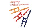 Cabe&ccedil;&atilde;o Nylon Mini Foal
